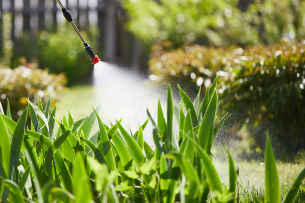 24/7 Emergency Mosquito Control experts in Devola, OH